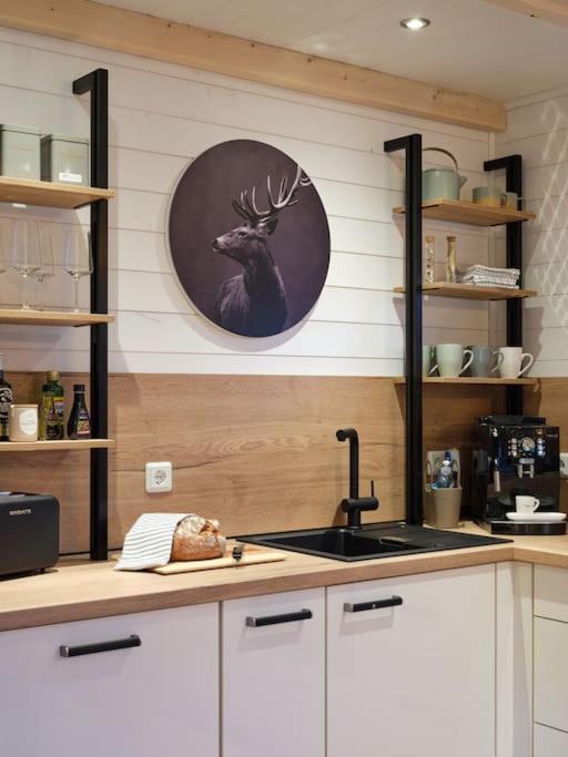 Chalet In Koeln - Tinyhouse Eksteriør bilde